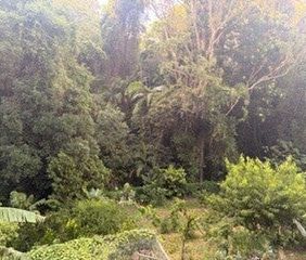 Verrierdale - Photo 5