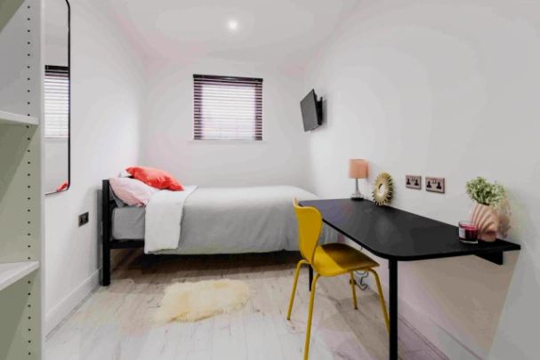 6 Beds 6 Baths - Photo 1