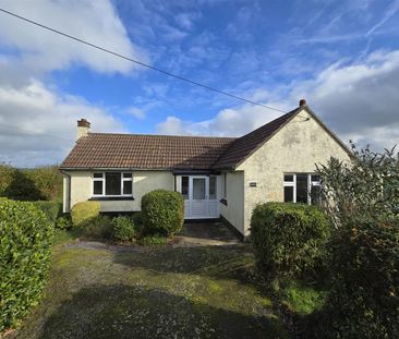 Two bed detached bungalow to rent in Lewannick, Cornwall, PL15 - Photo 3