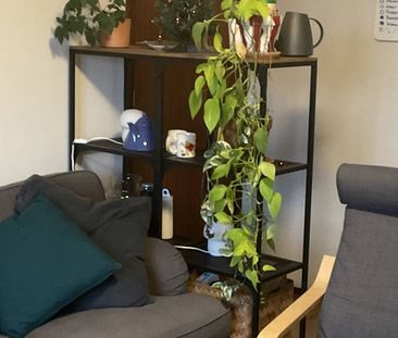 Huize Badeend - Photo 3