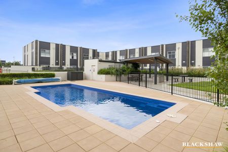 90/235 Flemington Road, Franklin ACT 2913 - Apartment For Rent | Domain - Photo 2