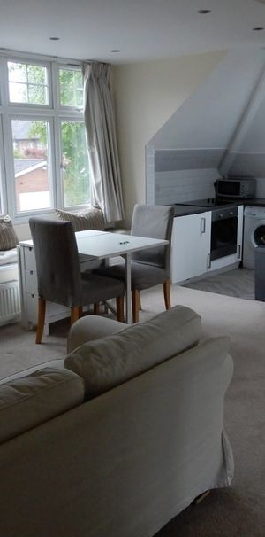 Studio Flat, Gunnersbury Gardens, W3 - Photo 1