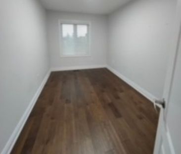 For Lease - 87 Mack Clement Lane, Richmond Hill, Ontario - Photo 6