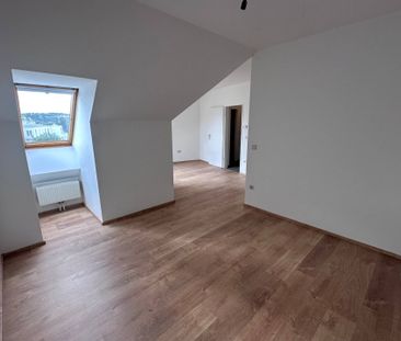2020 Hollabrunn, Aspersdorfer Straße 3 - Photo 6