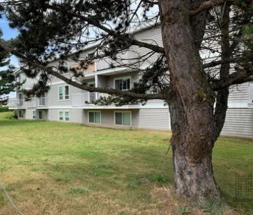1 room apartment of 52 m² in Courtenay - Photo 2