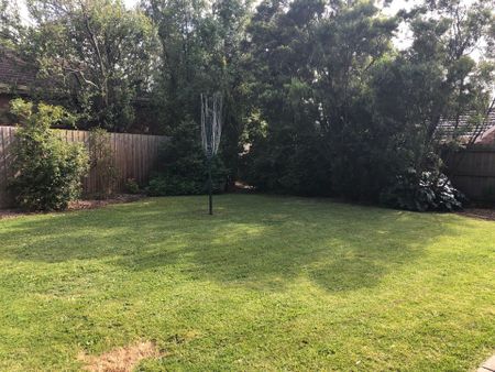 IMPRESSIVE 4 BEDROOM + STUDY FAMILY HOME - SINGLE LEVEL SPACE AND COMFORT - Photo 5