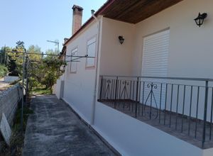 Μονοκατοικία για ενοικίαση - Κορωπί, - Photo 4