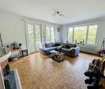 Licht appartement vlakbij het Brilschanspark - Foto 5