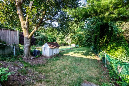 For Lease - 45 Wales Avenue Unit# Walkout Basement, Markham, Ontario - Photo 2