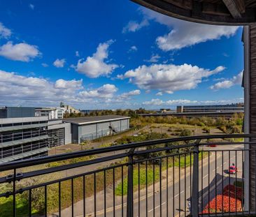 1 bedroom flat to rent - Photo 6