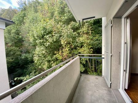 A saisir ! Superbe logement proche du centre-ville de Lausanne ! - Foto 5