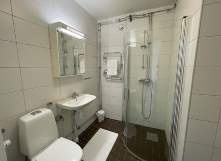 Fyrverkaregatan 6 - Photo 4