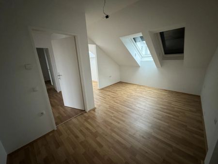 3-Zimmer-Wohnung mit Balkon in der Steinfeldgasse! Unbefristet! - Photo 5