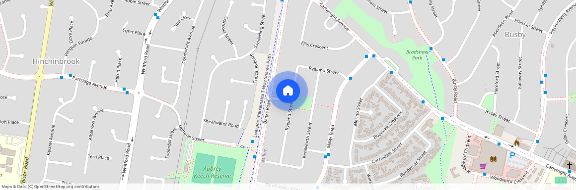 1 Strathdarr Street, NSW 2168, Miller