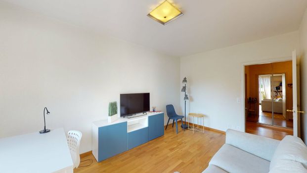 Furnished 3-room apartment, close to the United Nations - Geneva - Photo 1