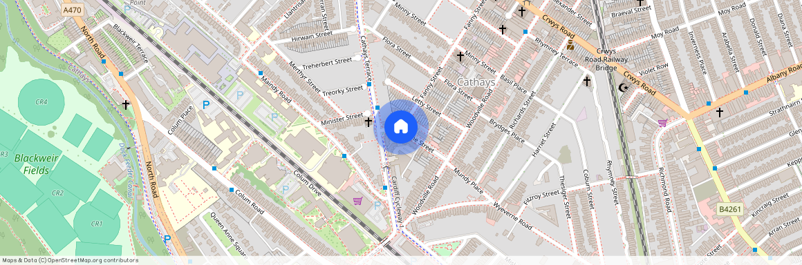 Catherine Street, CF24 4EF, Cathays