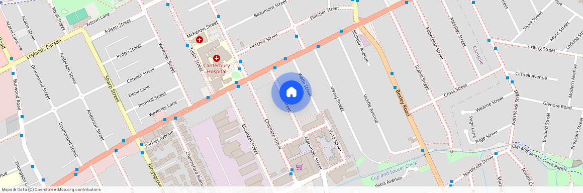 12A Troy Street, NSW 2194, Campsie