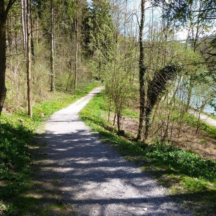 Bremgarten - Ländliquartier - Photo 1