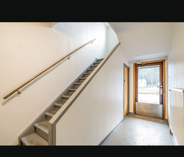 Fågelvägen, Äng - Foto 2