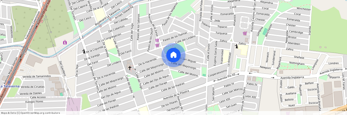 Calle Paseo San Miguel 876, Arboledas de San Miguel, Guadalupe, Nuevo León, 67110, MEX