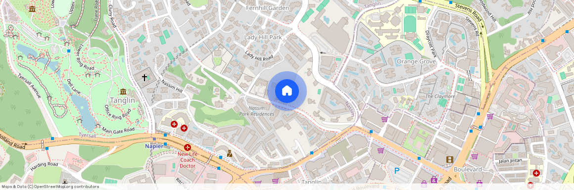 12 NASSIM ROAD, 258380, Singapore