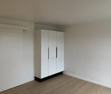 Bo idyllisk i nyistandsat 4 værelses lejlighed i Vinkel - Photo 4