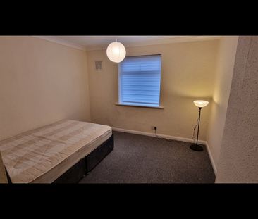 Room in a Shared Flat, Hove, BN3 - Photo 3