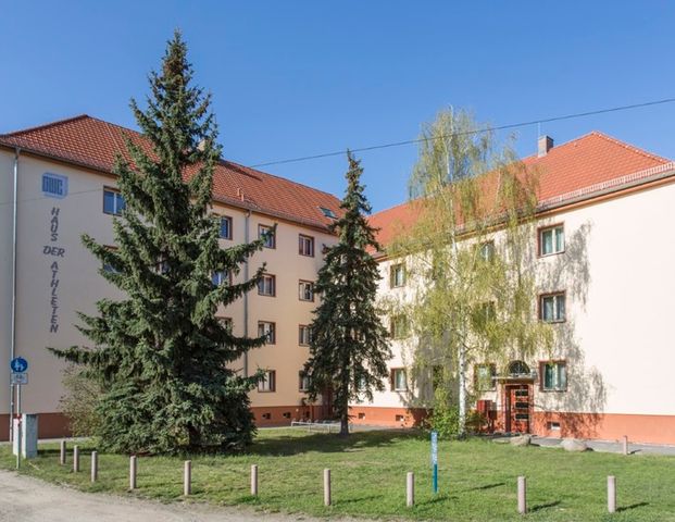 Schöne Erdgeschosswohnung nahe Sportzentrum - Photo 1