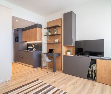 City Pop - Cosy Studio Apartments in Basel - Photo 3