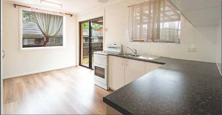69 Burkitt Street, Page ACT 2614 - House For Rent | Domain - Photo 4