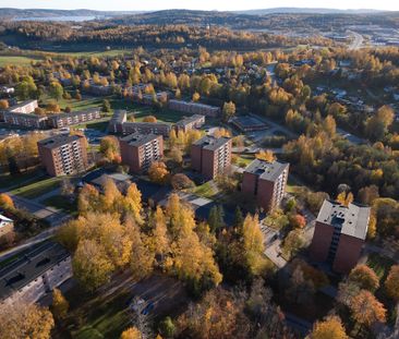 Finstavägen, Sundsbruk - Photo 3