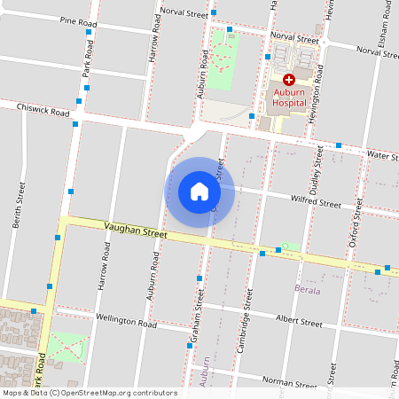 16A Graham Street, Auburn