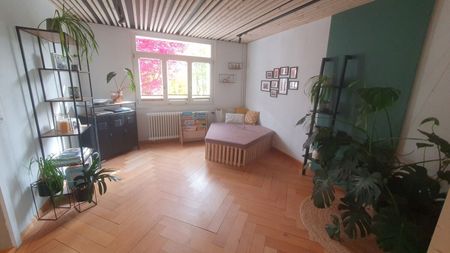 7-ROOM HOUSE IN TROGEN (AR), FURNISHED, TEMPORARY - Foto 3