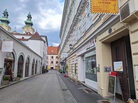 *NEUER PREIS * Ideale 3-Zimmer Wohnung mit Traumblick in der Bischofstraße - Foto 5