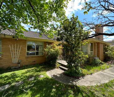 Spacious Family Home in the Heart of Box Hill - Photo 3