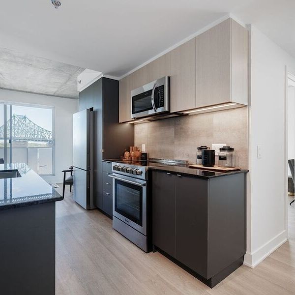 2150 Rue Sainte-Catherine Est, Ville-Marie, QC - Photo 1
