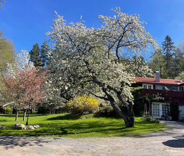 Skärmarängsvägen, Värmdö - Foto 3