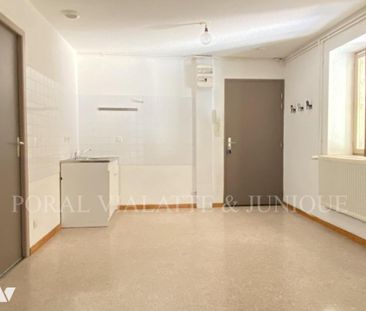 APPARTEMENT T2 - SAINT DENIS EN BUGEY - Photo 6