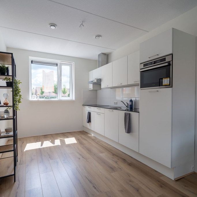 Te huur: Huis Zwartekolk in Wapenveld - Photo 1