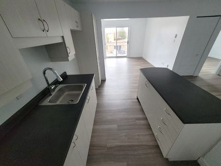 Logement 3 ½ entièrement rénové – Sherbrooke Secteur Université et Mont-Bellevue - Photo 3