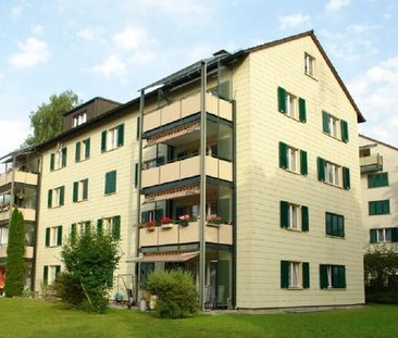 Gemütliche Wohnung nahe des Rheinfalls - Photo 2