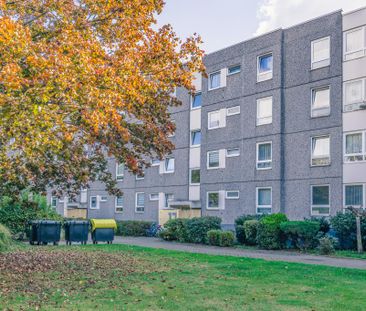 Charmante 3-Zimmer-Etagenwohnung in Braunschweig  68,42 m² mit Lam... - Photo 3