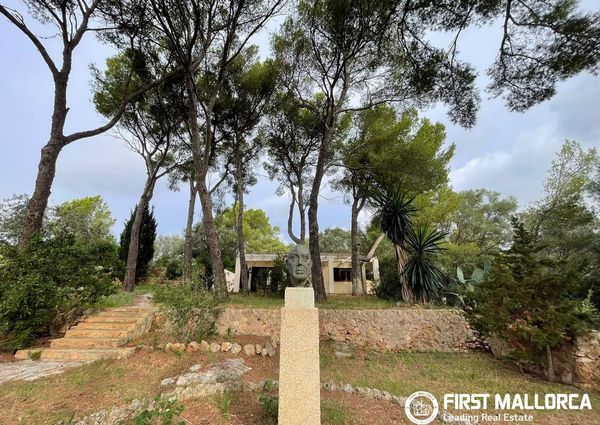 Ctra. Andratx, 11, 07181 Calvià, Illes Balears, Spain, Calvià, Balearic Islands 07181