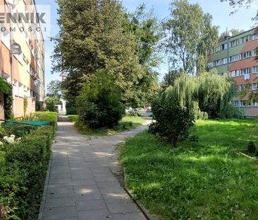 Łódź, Bałuty, Żabieniec Mieszkanie na wynajem - Photo 5