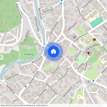 8887, Mels, Wangserstrasse, 4