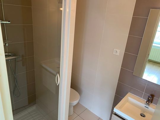 A louer Brest Kérichen/Croix Rouge studio très bon état dernier étage 23 M2 - Photo 1