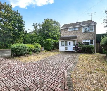 3 bedroom house to rent - Photo 3