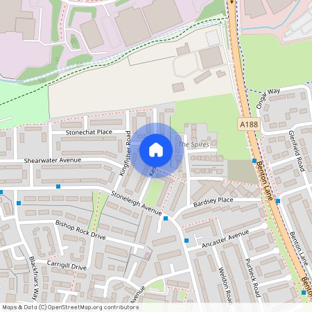 Kestrel Place, Longbenton