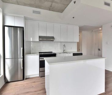 1569 rue Saint-Hubert, Montréal, QC - Photo 5