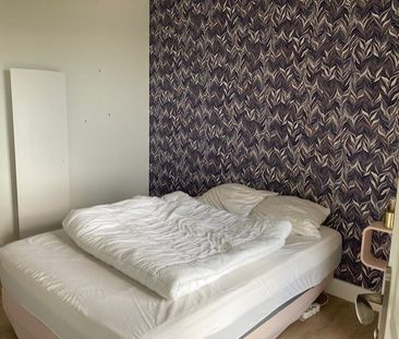 Location Appartement 2 pièces Meublé 38m² GRANVILLE 50400 - Photo 3